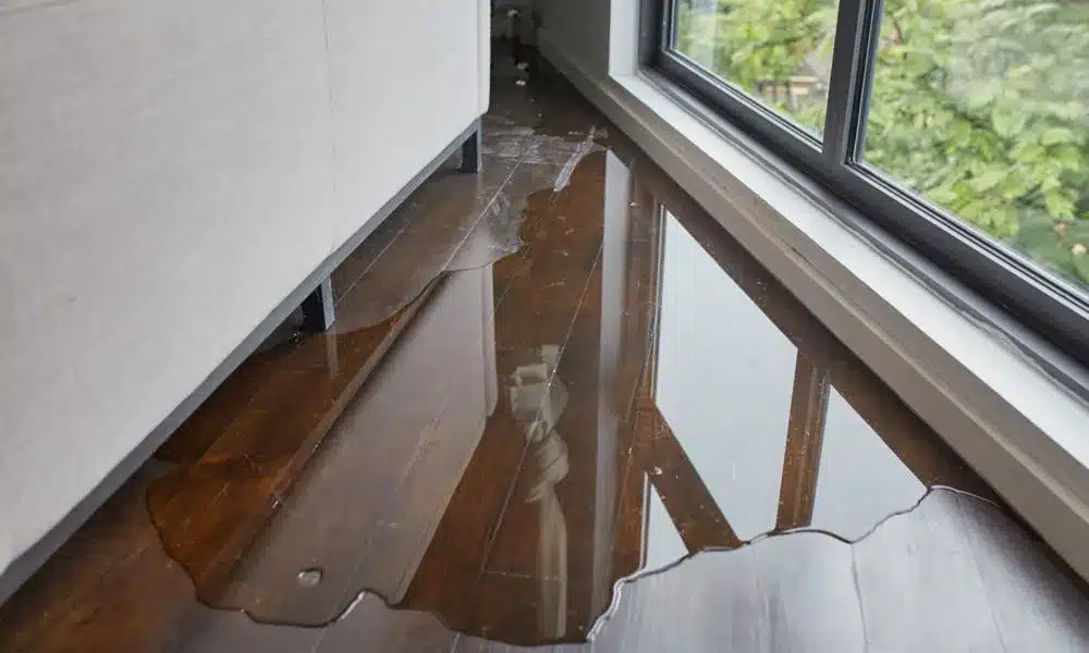 leaking window